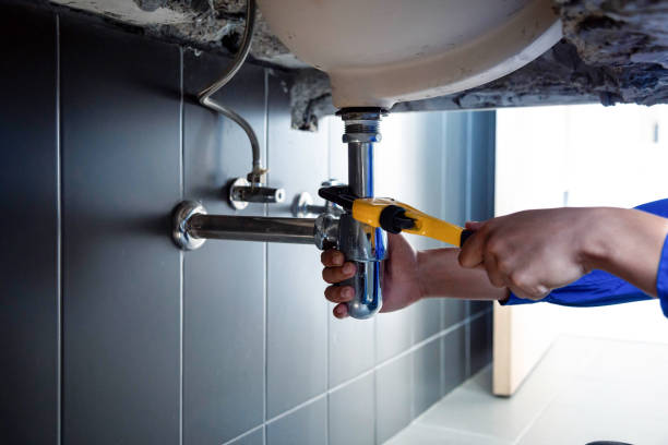 Best Tankless Water Heater Services  in Arcadia, SC